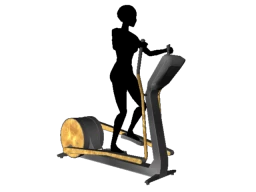 Luxe Luster Cross Trainer - Interactive