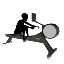 Industrial Impulse Rowing Machine - Interactive