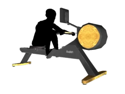 Luxe Luster Rowing Machine - Interactive