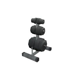 Industrial Potency Weight Rack