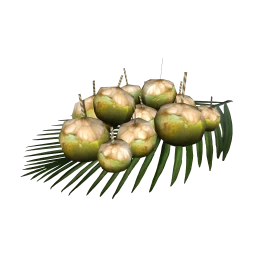 Brazillian Coconut Water Drinks