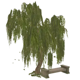 Cosmos Willow Tree With Bench