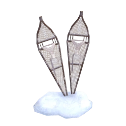 Cosmos Through The Blizzard Snow Shoes