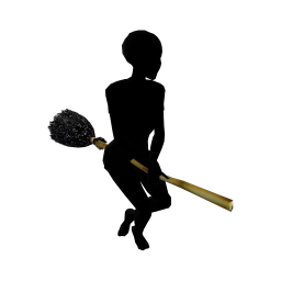 Cosmos Finest Witches Broom - Interactive