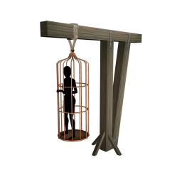 Salem Cage - Interactive