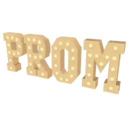 Mod Lighted Prom Sign 