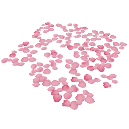 Scattered Pink Rose Petals