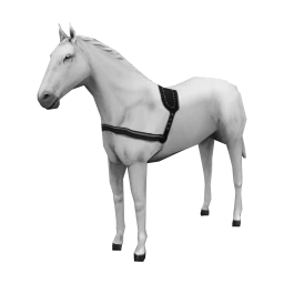 Majestic White Stallion