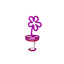 Animated Pink Neon Flower