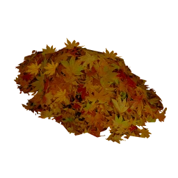 Pile of Fall Leaves