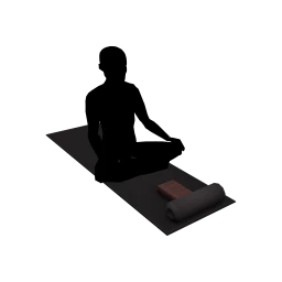 they. Core Strength Yoga Mat (Easy Pose) - Interactive