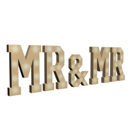 "Mr & Mr" Giant Wedding Lights