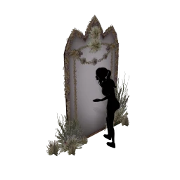 Cosmos Magical Mirror - Interactive