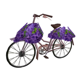 Amour Hyacinth Bicycle