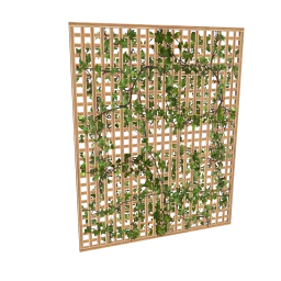 Amour Garden Lattice Screen