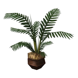 Nirmala Potted Plant