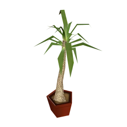 Ituero Houseplant