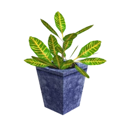 East Meadow Potted Plant