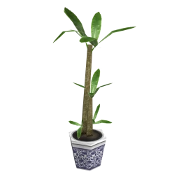 North Woods Potted Plant