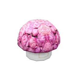 Pink Peonies Flower Box