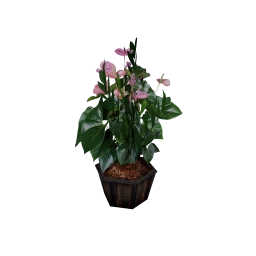 LOFT Bartholomew Plant