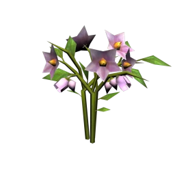 Garden Blue-eyed Grass