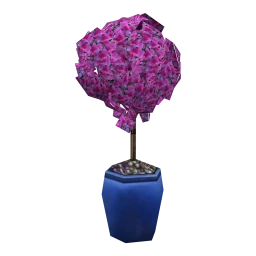 Beautiful Bougainvillea Tree