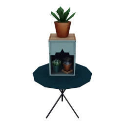 Houseplant Table Display