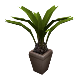 Plato's Potted Palm
