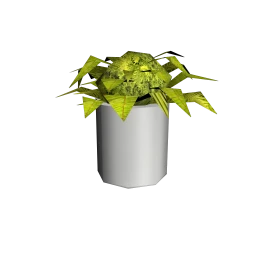 Leaves of Green Plant