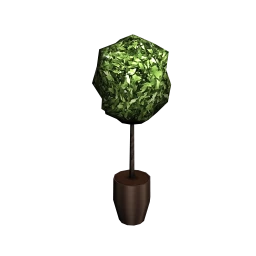 Potted Topiary Tree