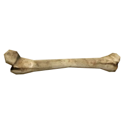 Giant's Leg Bone