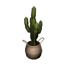 Cactus in Wicker Basket