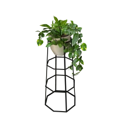 LOFT Kalamaria Plant