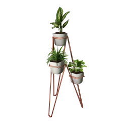 Ardour Wildwood Flowers