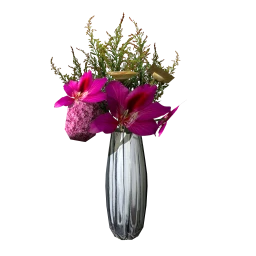 Aurora Songkhla Flowers