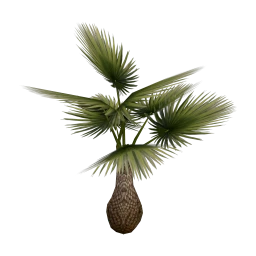 Luxe Palm Leaf Planter