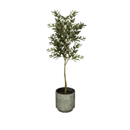 Eclatant Produit Olive Tree