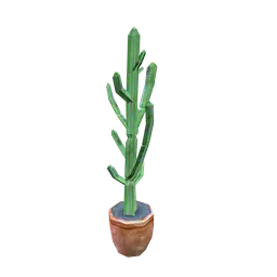 Luxe Flare Salon Cactus Plant