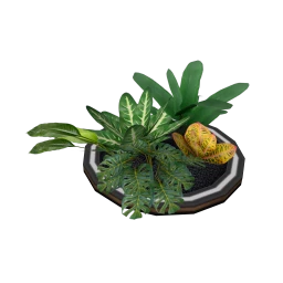 Luxe Tough Growing Plants