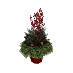 Callister Devin Christmas Plant