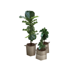 Lagom Sorø Plant Set