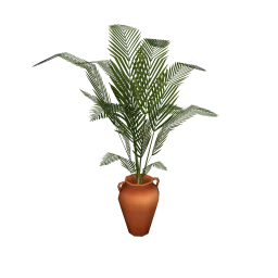 Sollievo Sottomettere Potted Fern