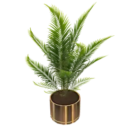 Mod Vegas Potted Plant