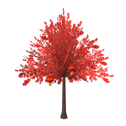 Heart Of China Cherry Tree