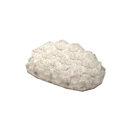 True Love's Rose Table Display