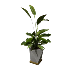 Luxe Green Shoots Plants