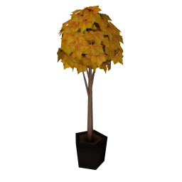 Potted Tree in Fall