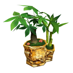 Aloha Money Tree Plant