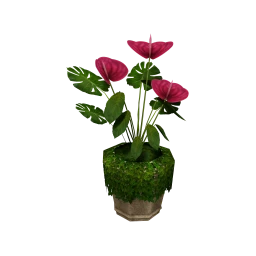 Wanderlust Wild & Exotic Plant